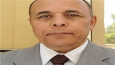 تشكيل لجنة لحصر خسائر مشروع توشكى بأسوان