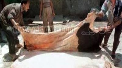 محافظ القاهرة: 