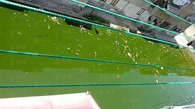 حى الزهور ببورسعيد يغرق في مياه الصرف الصحى والقمامة