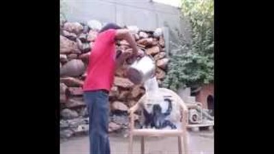 بالفيديو.. قرد يشارك في تحدي دلو الثلج