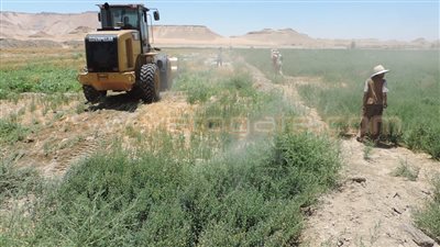 تنفيذ 3 قرارات إزالة تعديات على أملاك الدولة بالوادي الجديد