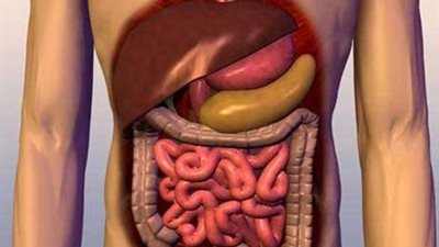 دراسة.. حماية الجهاز الهضمي مفتاح جديد لعلاج السرطان