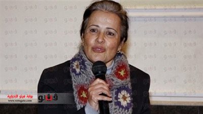 منى مينا: مرتبات الأطباء في الكادر 