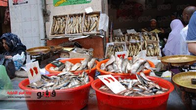 إقبال جماهيرى على الفسيخ والأسماك بالإسكندرية