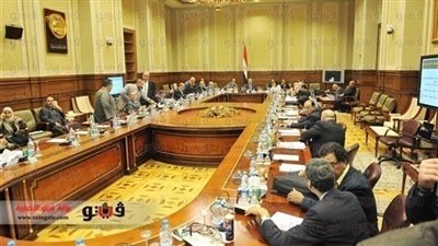 ممثل الفلاحين بالخمسين: إلغاء نسبة العمال يهدد برفض الدستور