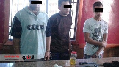 بالصور.. القبض على خلية إرهابية بحوزتها أسلحة ومولوتوف بالمنصورة