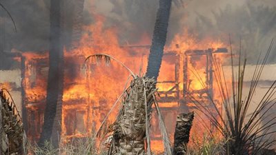 حريق يلتهم مزرعة نخيل بـ