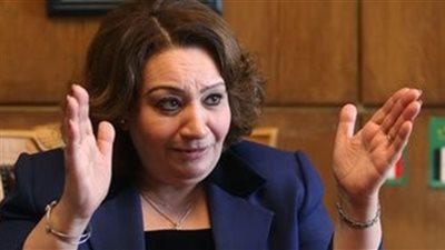 «الجبالي»: يجب استثمار أموال المصريين في الخارج