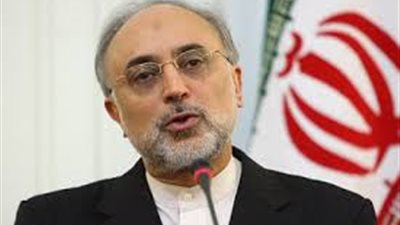 مشاورات لعقد قمة عربية حول سوريا بناء على دعوة مرسي