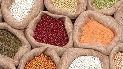 العدس يسجل 6.5 جنيهات بالجيزة.. اليوم