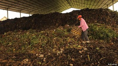 الجمعيات الزراعية بالإسكندرية تطالب بحل مشكلة السماد والإرشاد الحقلي