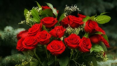 70 مليون يورو تكاليف 10 ملايين وردة بـ