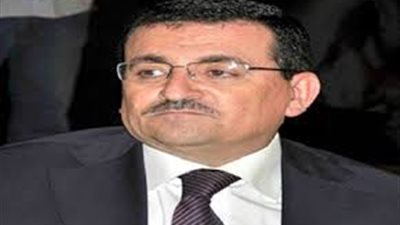 أسامة هيكل: السيسي ينتظر نتيجة الاستفتاء لحسم الترشح للرئاسة