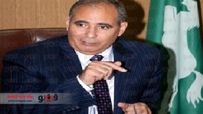 محافظ الشرقية: مقتل 