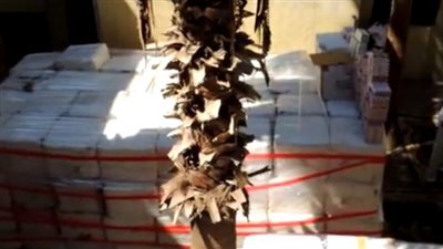 بالفيديو.. ضبط 17 مليون قرص ترامادول في مخزن بالإسكندرية