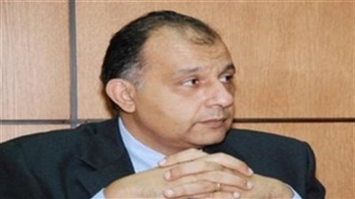 جمال الدين: قطع العلاقات مع دمشق لن يؤثر على الاستثمارات السورية في مصر