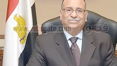 إمبابى: إعمار شرق القناة ..التنمية الحقيقية لمصر