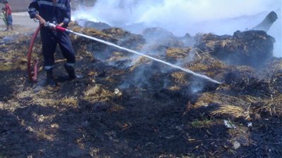 إنقاذ محصول 10 أفدنة قمح من الاحتراق ونفوق 16 رأس ماشية.. بالفيوم
